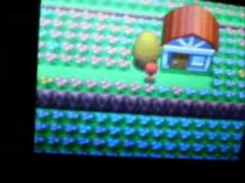Pokemon Diamond And Pearl- Honey Trees Pokemon Diamond And Pearl- Honey Trees