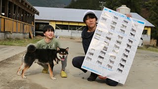 令和6年度の兵庫県種雄牛一覧が出ました！