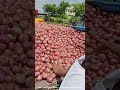 आज चे बाजार भाव गंगापूर kanda fruit gangapur vegetableprices automobile royalशेतकरी