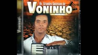 Os Grandes sucessos de Voninho (Lp Disco Vinil)