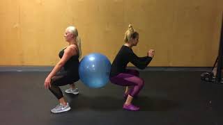 BEST Partner Stability Ball Exercises