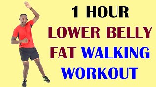 1 Hour LOWER BELLY FAT Walking Workout at Home 🔥 7,000 Steps - 550 Calories 🔥