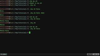 BASH Fallback to Default Variables Linux Shell Tutorial