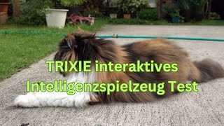 TRIXIE interaktives Intelligenzspielzeug im Test [KURZ \u0026 KOMPAKT] Zusammengefasst