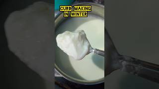 చలికాలం లో పెరుగు తయ్యారికి చిన్న ట్రిక్ #food #curd ##winter #kitchentips #ytshots #cooking #telugu