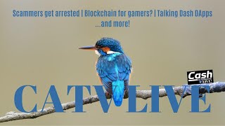 Scammers get arrested, Blockchain for gamers?, Talking Dash DApps... and more! | CATV LIVE