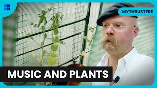 Music Grows Plants? - Mythbusters - Science Documentary