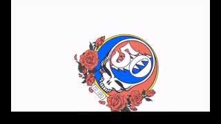 Grateful Dead - GD50 Set Break Video - 6-27-15 - Music by Neal Casal