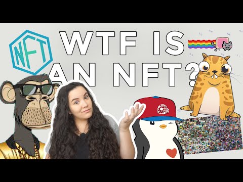 NFTs & Blockchains Simply Explained - Future of the Internet or Biggest Scam of Our Generation 2022