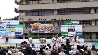 よさこい☆フレンズ～踊っこまつり2013　本部競演場