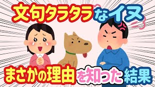 【2ch ほっこり】犬が家族旅行中に文句を言う→夫「じゃあ帰れ」と言ったが、その理由が分かり...【総集編】