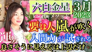 【六白金星2023年３月の運勢】心の豊かさと現実を豊かに創造する九星気学の運命好転術の奥義とスピリチュアル『真理』の視点から真の開運方法をお伝えします