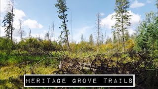 Heritage Grove Trails || Spruce Grove