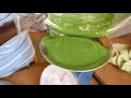 How to make Moringa Oil