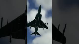Emergency Landing of a Harrier on an Oil Platform | MSFS