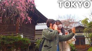 [4k] 上野公園を散歩。梅の花を楽しむ季節 (2023年2月)