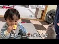 大好きな2人の兄に、何度もりんごを食べさせる双子の赤ちゃん1歳1ヶ月