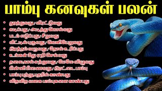 பாம்பு கனவில் வந்தால் நல்லதா? கெட்டதா? கனவில் பாம்பு வந்தால் | Pambu Kanavu | T Tamil Technology