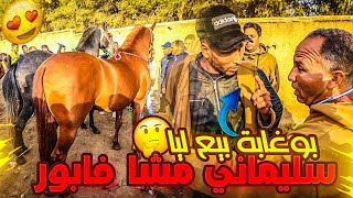 لي كيبغي دجاج يكتفو بليل بوغابة جا لسوق روطار باع عود سليماني زين بالوراق ديالو 14000 درهم