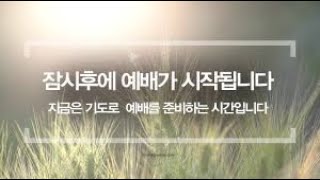 수요예배 0127