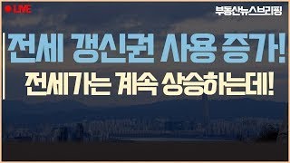 전세 갱신권 사용 증가! 전세가는 계속 상승하는데!!!