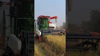 The Most Advanced Track Harvester in India | Steering Harvester | GREEN FIELD CROPKING 120