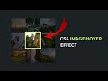 CSS Image Hover Effects Tutorial | Hover Effect CSS