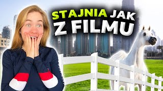 NAJLEPSZA STAJNIA W DUBAJU 😱| Czy w Dubaju padokują konie? | Ile kosztuje utrzymanie konia w Dubaju