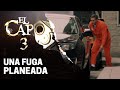 El Capo sale de prisión | El Capo 3