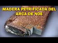 RESTO DE MADERA PETRIFICADA DEL ARCA DE NOÉ - Mary Nell Wyatt