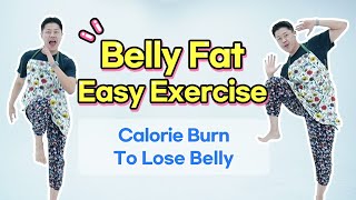 Easy Aerobic Exercise To Lose Belly Fat