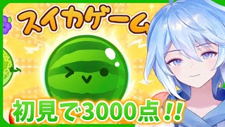 【スイカゲーム】初見でも余裕で3000点超えちゃうってわけ！【葵葉柚月/あおばゆづき】