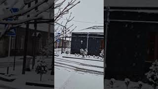 Գարնան 25-րդ օրը Գյումրիում խորը ձմեռ է❄️ ❄️ ❄️