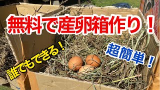 【たったの5分⁉︎】産卵箱を誰でも簡単にタダで作る方法！