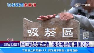 中正紀念堂砍樹設吸菸區？ 邰智源批荒唐可笑│94看新聞