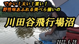 【川田谷飛行場沼】酷暑の中ガチで頑張りました　2022 6 28