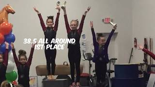 Bluegrass Challenge gymnastics meet L3