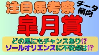 【2023皐月賞】注目馬考察(データ傾向)どの馬にもチャンスあり!?ソールオリエンスに不安点は!?