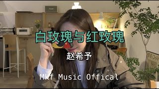 白玫瑰与紅玫瑰 - 赵希予｜ 動感歌詞 【我爱你 你爱他 他是谁的他他爱的 那个她 藏在心里呀】