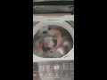 panasonic fully automatic washing machine 8kg na f80s7