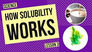 How Solubility Works: Factors That Affect Dissolving