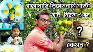 জানেন কী ? বারোমাসি ভিয়েতনামি মাল্টা লেবুতে স্বাদ , মিষ্টতা ও রস কেমন হয় !!!  #Garden_Guide #malta