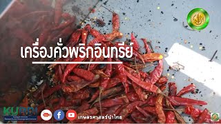 เกษตรศาสตร์นำไทยสู้ภัยโควิด ตอน คั่วพริกอินทรีย์ (คลิปเต็มเผยแพร่เมื่อวันที่ 17 มกราคม 2017)