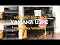 why the yamaha u3 pe brand new piano is worth the investment