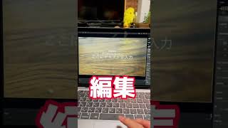 Mac版のLumaFusion が重すぎて編集出来ない…/It's too late to edit