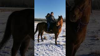 A bareback ride on a brisk winter's day #horseriding #horses #bareback #bitless #kidsandhorses