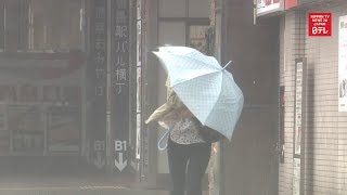 Typhoon Krosa slams western Japan