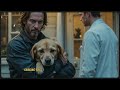 vet refused to treat keanu reeves’s dog instantly regrets it when the truth is revealed