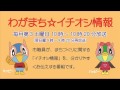 わがまちイチオシ情報「三田市議会議員選挙と三田秋の観光と味覚まつり」平成28年9月17日放送