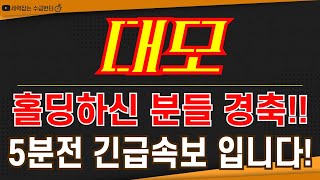 대모 - 홀딩하신 분들 경축!! 5분전 긴급속보 입니다!